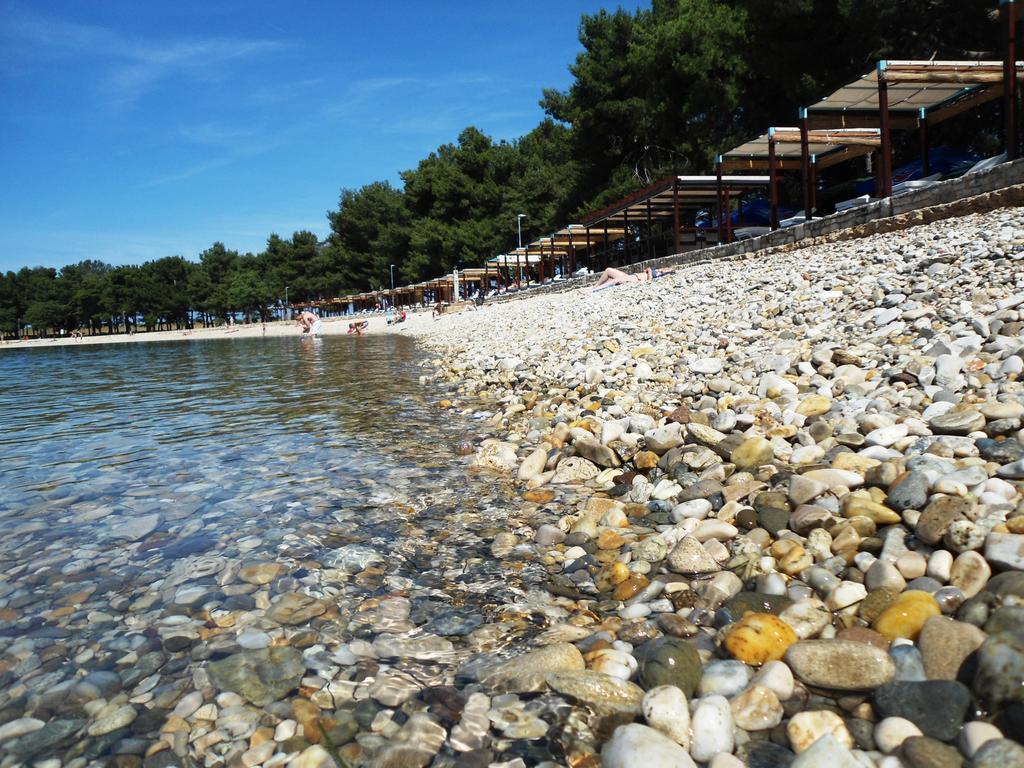Guest House Gloria Novigrad Istria المظهر الخارجي الصورة